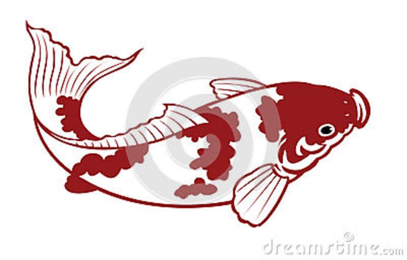 Interesant III :) - carp-fish-26803370.jpg